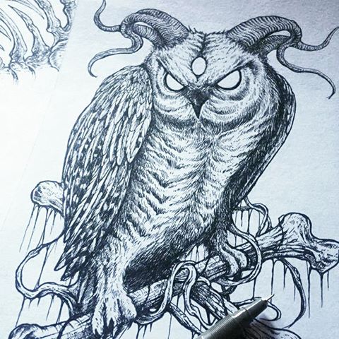 evil owl drawing