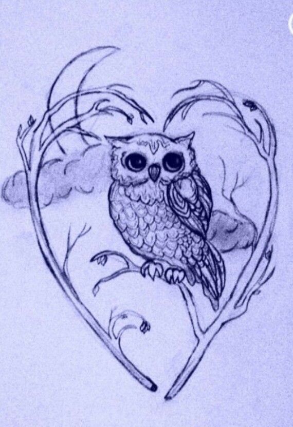 570x832 When A Young Owl Is Abducted By An Evil Owl Army, He Must Escape