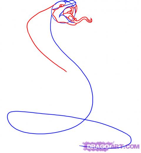 479x520 How To Draw A Snake King Cobra Clipart Panda