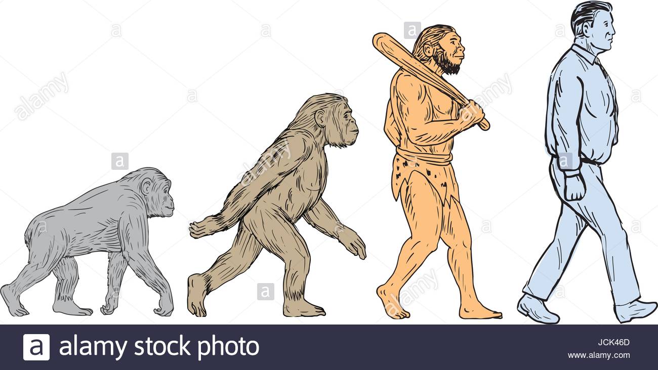 1300x732 Drawing Sketch Style Illustration Showing Human Evolution