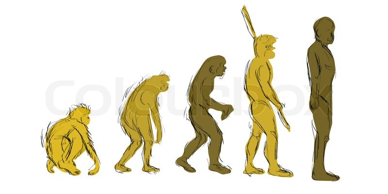 800x400 Evolution Hand Draw Stock Photo Colourbox