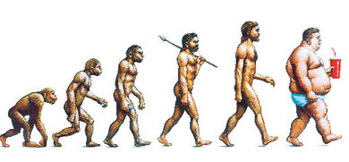 390x181 Human Evolution