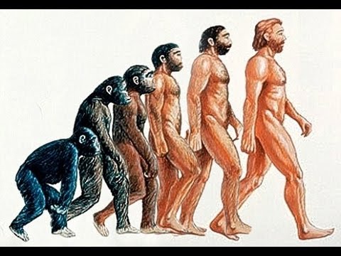 480x360 Evolution The Evolution Of Humans Documentary 2014