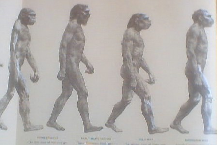 448x300 Human Evolution Sequence