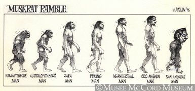 385x181 M984.303.54 Evolution Of Early Man To Reagan Drawing, Cartoon