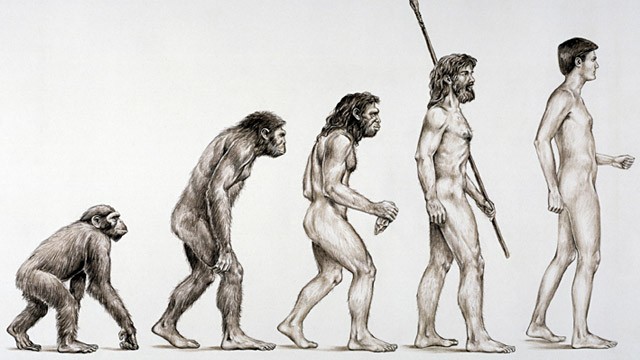 640x360 The Missing Links Of Human Evolution Are More Than Missing They