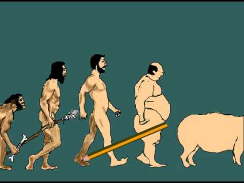 480x360 Drawing For Theory Of Human Evolution
