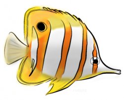 250x202 Tropical Fish Coloring Page Hubpages