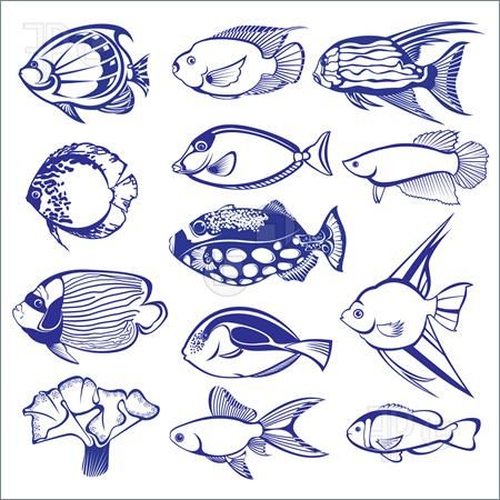 450x450 Tropical Fish Drawings