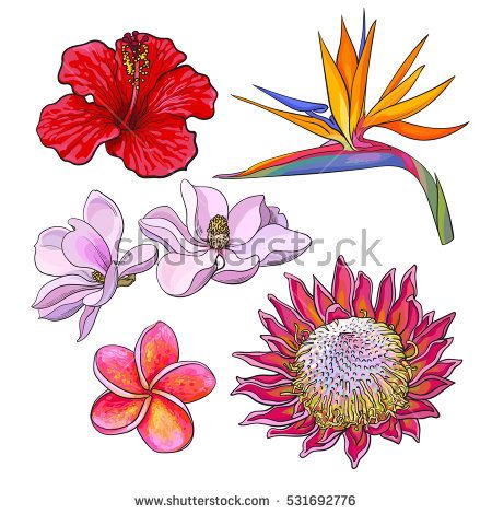 450x470 Related Image Hmlet Papercraft