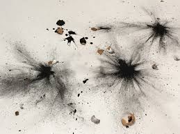 259x194 Explosive Drawing Alison Carlier Drawing