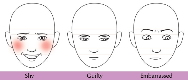 600x265 Human Anatomy Fundamentals Mastering Facial Expressions