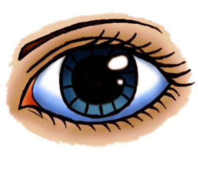 400x363 How To Draw A Cartoon Eye (Female) Feltmagnet
