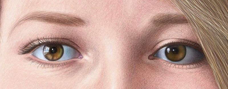 800x313 Color Pencil Portraits