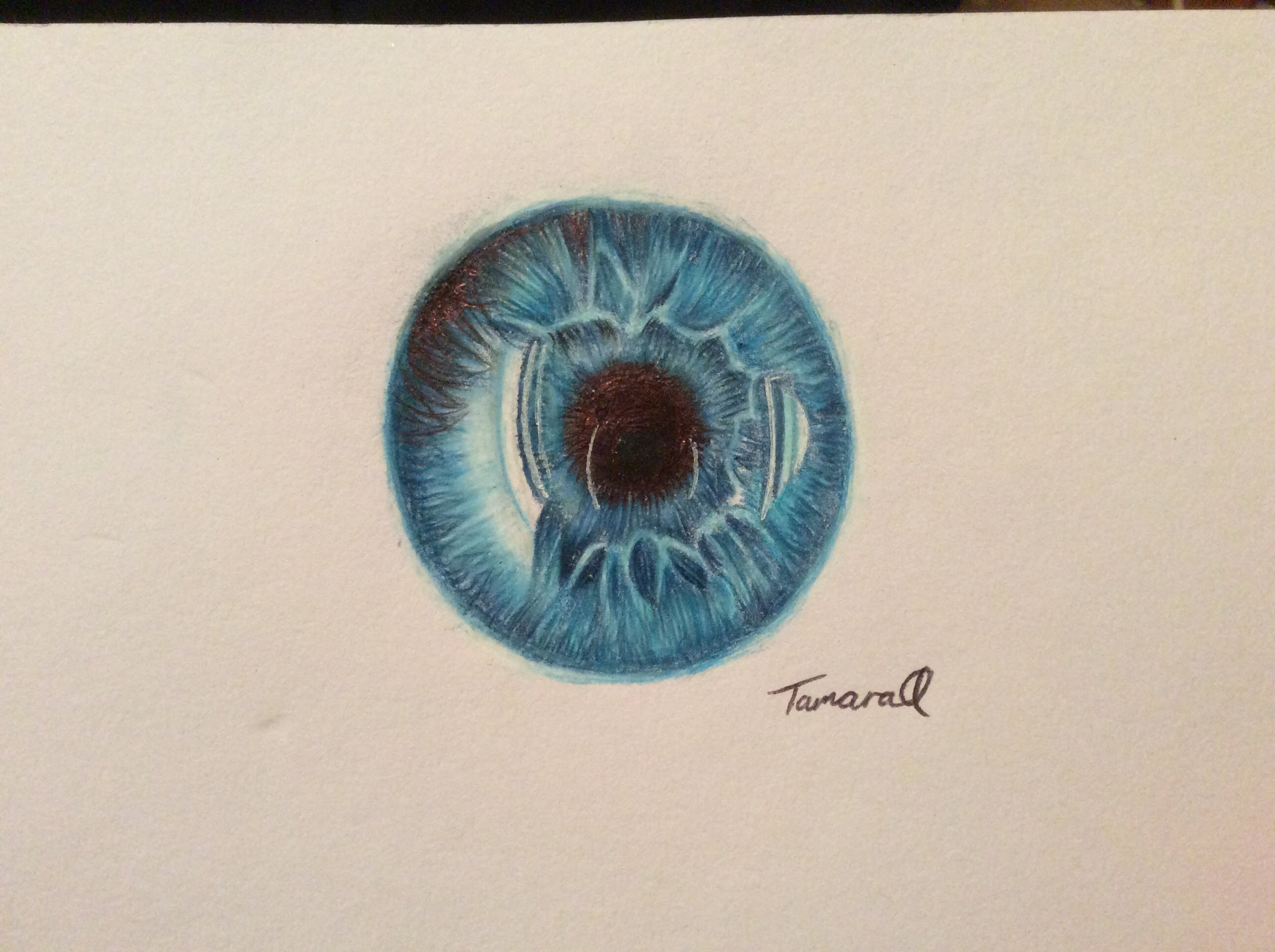 2592x1936 Eye (Iris) Speed Drawing