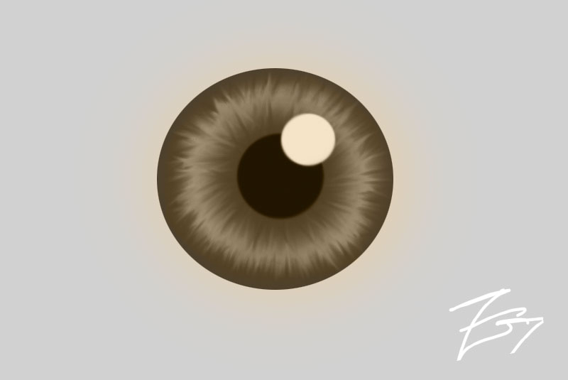 800x535 Iris Drawing, Brown Eye By Thefriendlyhacker