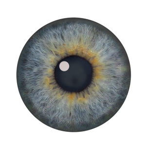 300x300 Jeff Searle Drawing The Eye