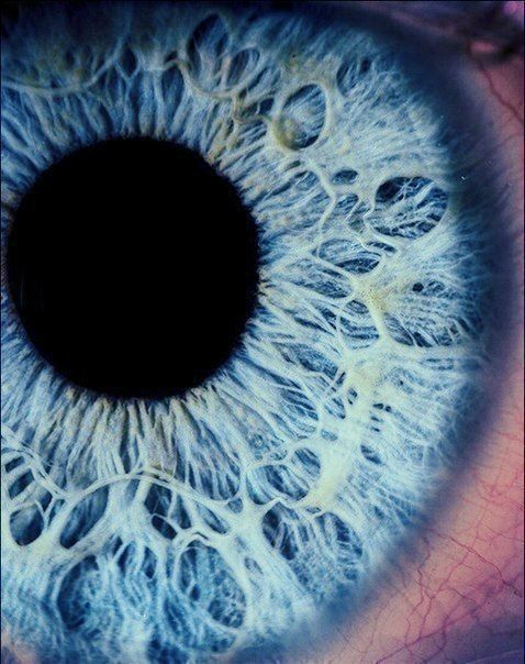 478x604 8 Best Beauty Is In The Eye Images On Beautiful Eyes