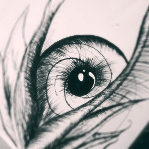 300x300 Eyeball Drawings
