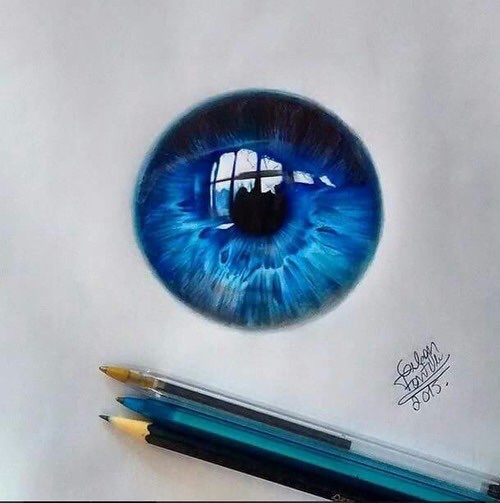 500x503 Pin By Steven Mauro On Art Eye, Coloured Pencils