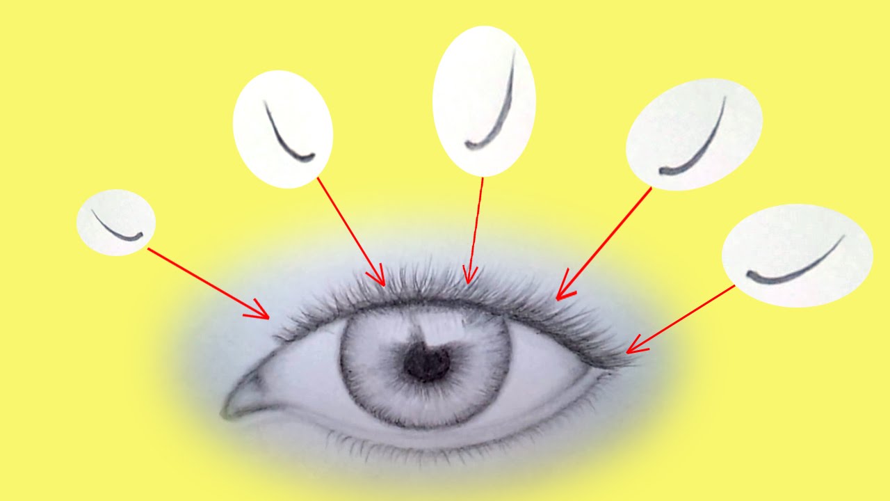 1280x720 How To Draw Eyelashes