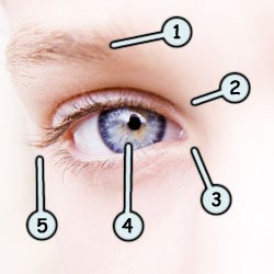 250x250 Drawing Cartoon Eyes