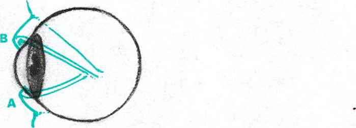 699x252 Looking Sideways Side View