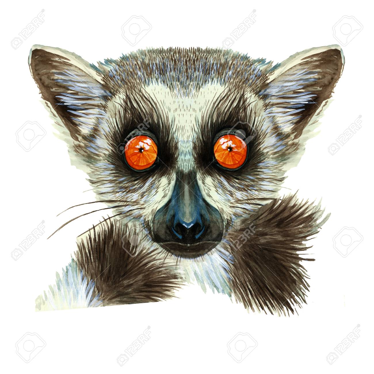 1300x1300 Watercolor Drawing Of Mammal With Lemur With Large Orange Eyes