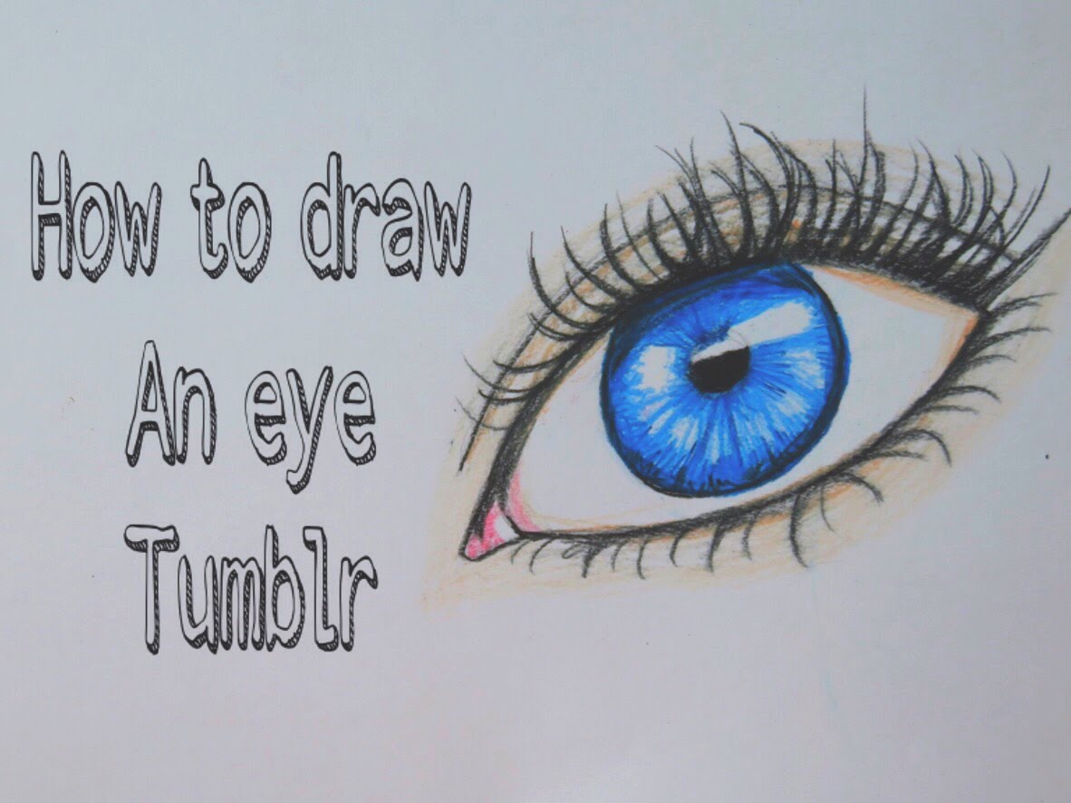 1182x886 How To Draw An Eye Tumblr