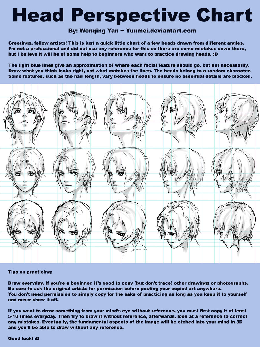 900x1200 Head Perspective Chart By Yuumei