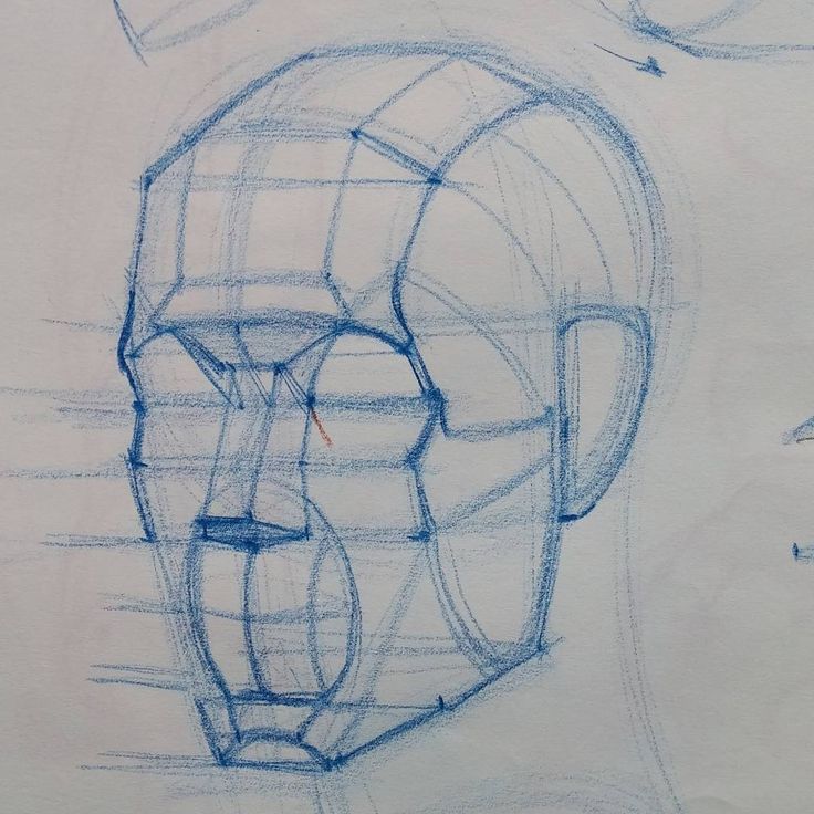 736x736 71 Best Head Constructionrhythmplanes Images