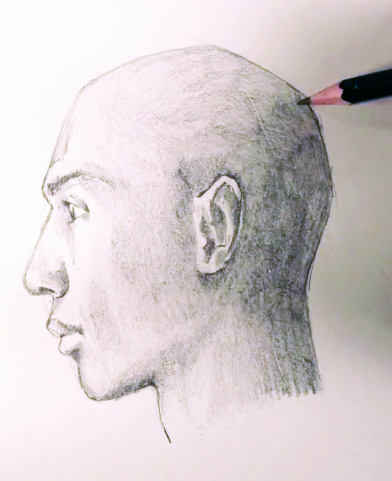 392x481 How To Draw A Face