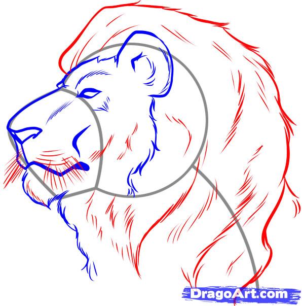 Face Of Lion Drawing at GetDrawings | Free download