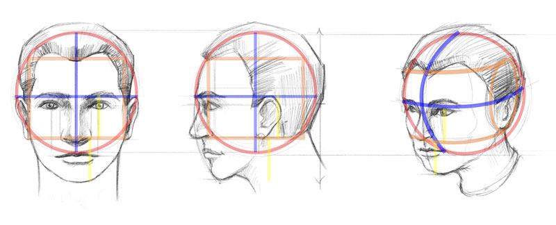800x324 How To Draw A Face