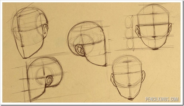 639x368 How To Draw Heads For Perfect Face Proportions