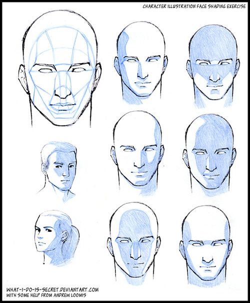 500x605 How To Shade A Face, Drawing Shadows Face, Drawing Shading