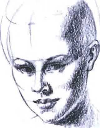 321x412 Portrait Drawing