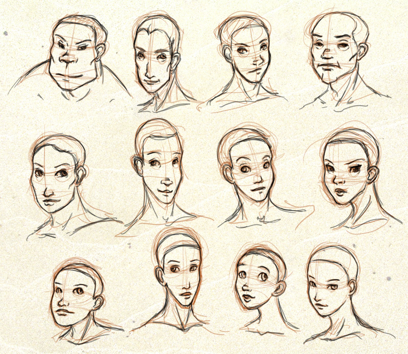 800x694 Face Shapes By Ixisstar