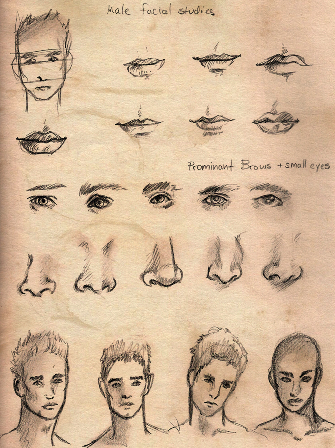 673x898 Male Face Study By Drivenlikethesnow