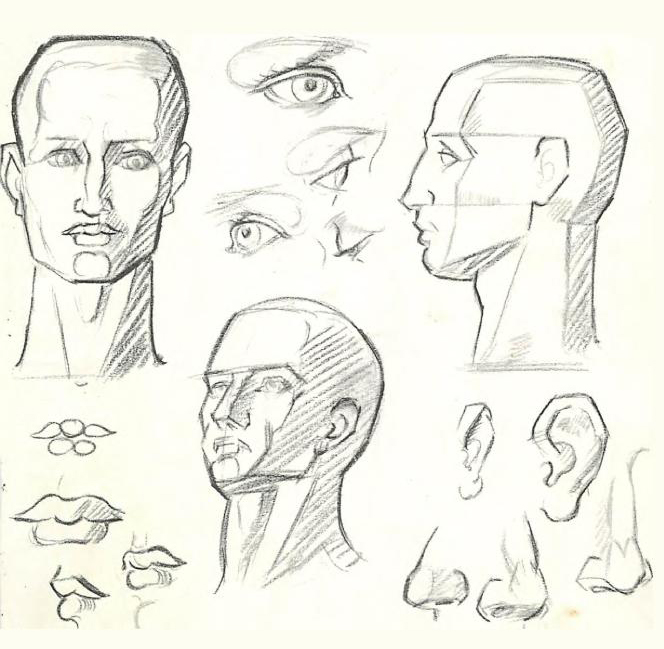 664x649 How To Draw The Human Figure Drawing Body, Head, Facial Features