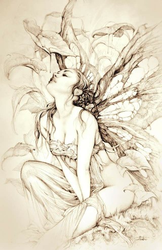 320x494 Arantza Sestayo Sketches Fairy, Luis Royo