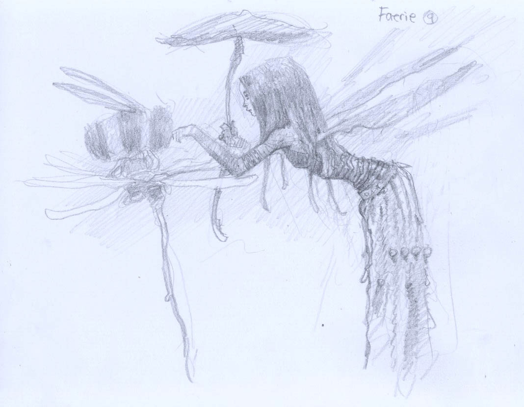 1068x830 Fantasy Characters With Larry Macdougall Faerie In Flight