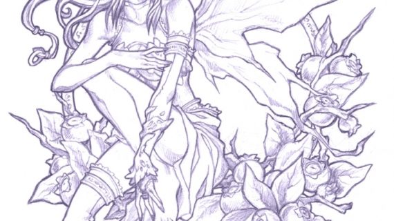 570x320 Pencil Drawing Fairies