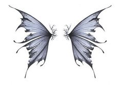 236x167 Fairy Wings Drawings