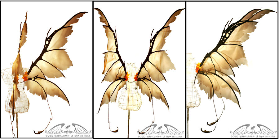 900x450 Golden Fairy Wings By Starbright2040