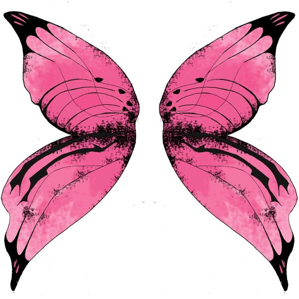 600x599 Pink Fairy Wings By Lipbleed