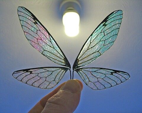480x384 Fairy Wings Tutorial