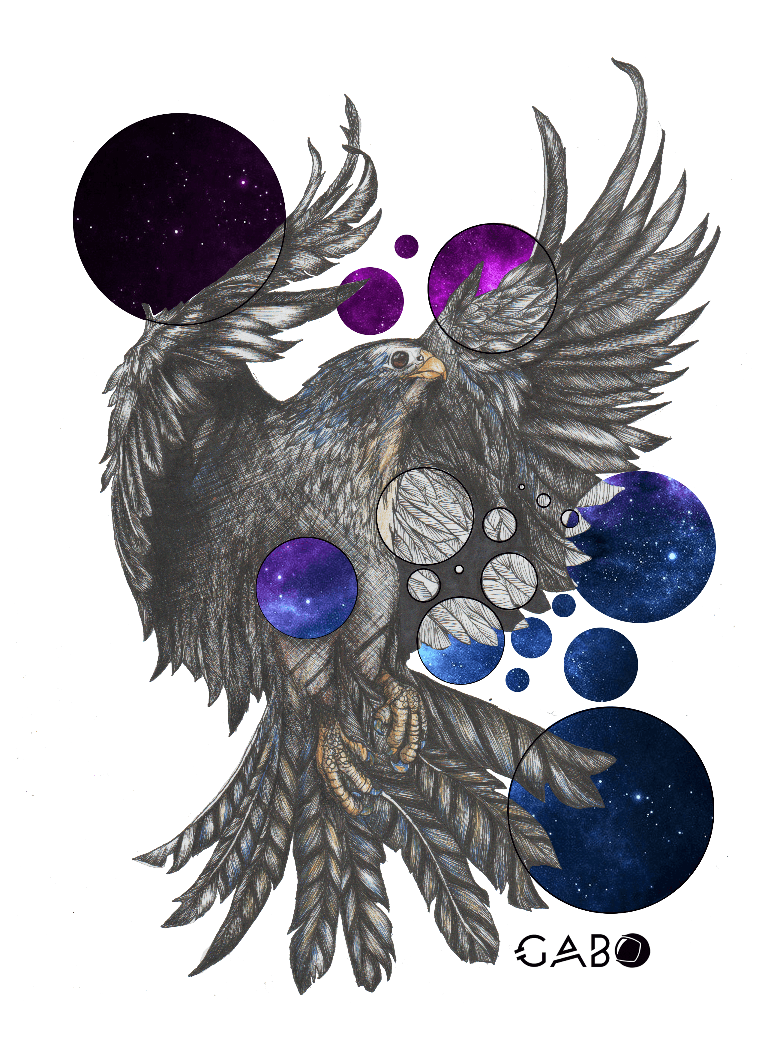 2550x3507 Drawing A Falcon Steemcreations Steemit