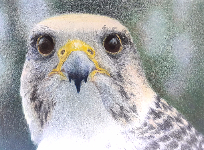 713x524 Judith Frost