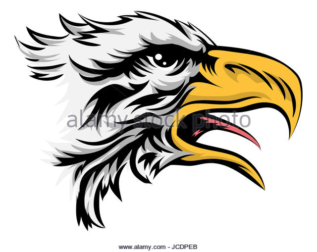 640x509 Falcon Head Black White Cut Out Stock Images Amp Pictures